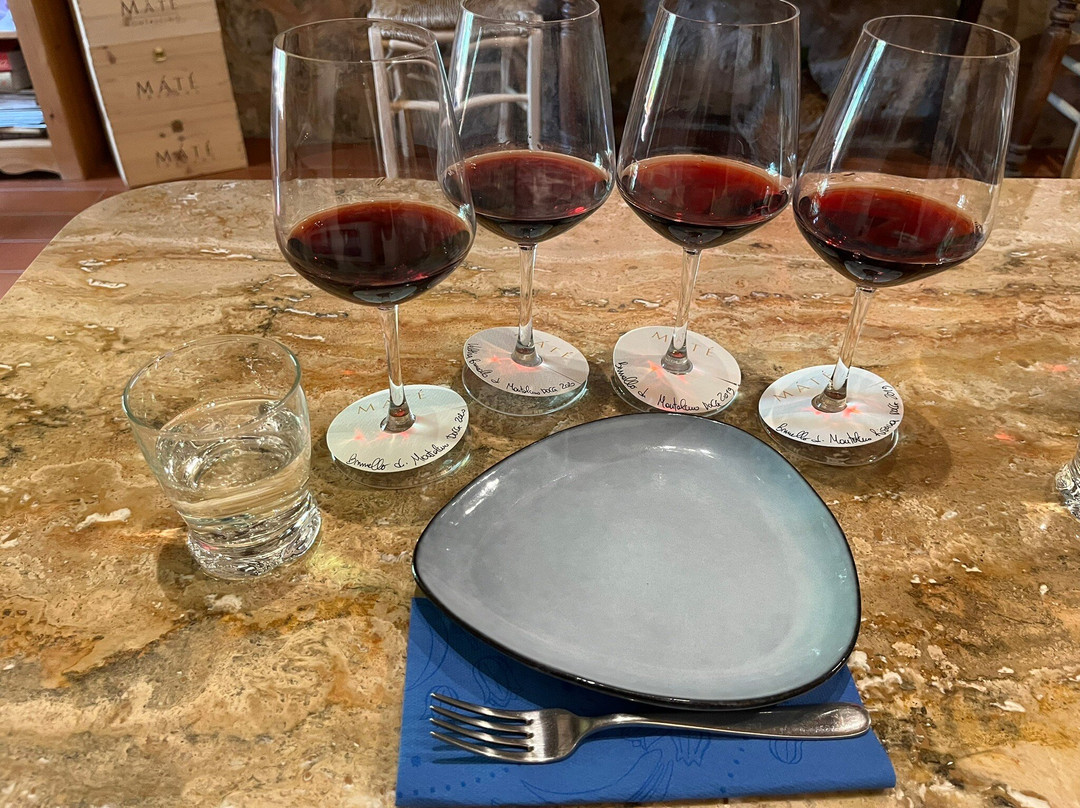 Máté Winery-蒙塔尔奇诺必去景点
