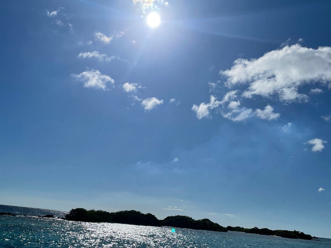 RockaBeach Tours-奥腊涅斯塔德必去景点