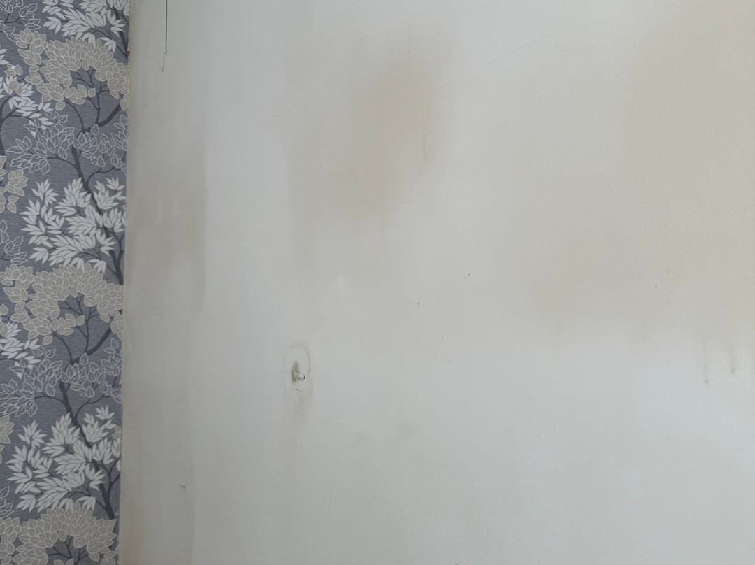 The Dorset Inn主图