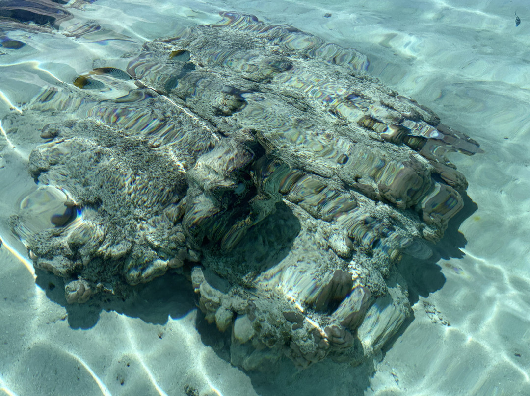 Kia Orana Cruises-Amuri必去景点