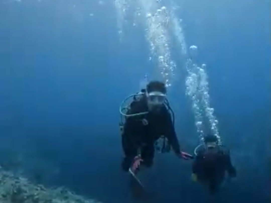 Miyakojima Diving Shop Guide-Ya-San-宫古岛市必去景点