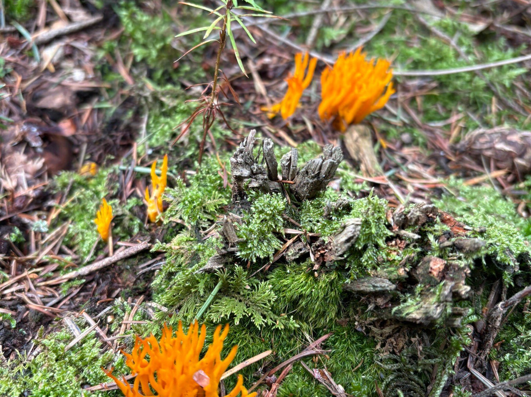 Prieuré Du Val Saint-benoît-Epinac必去景点
