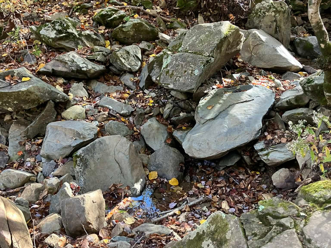 Suburban Studios Verona - Staunton North主图