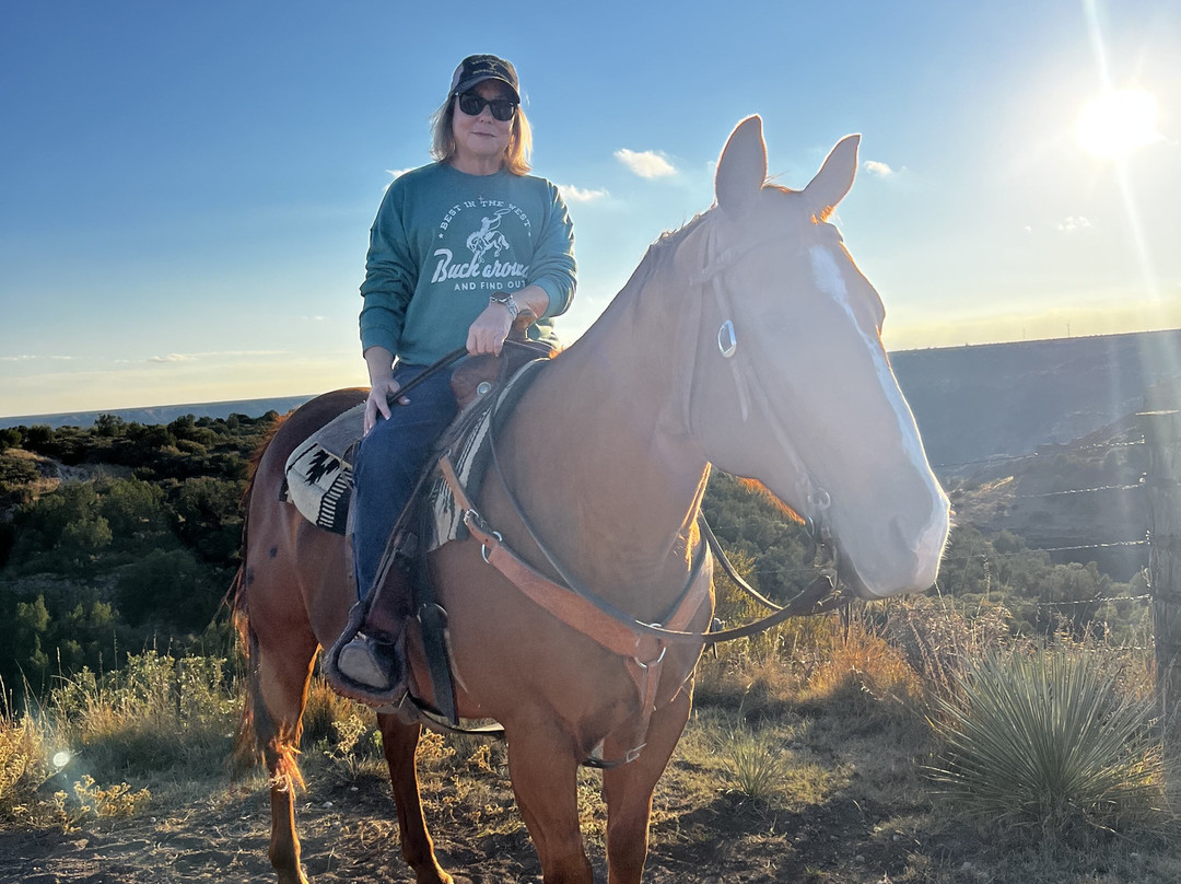 Cowgirls and Cowboys in the West-阿马里洛必去景点