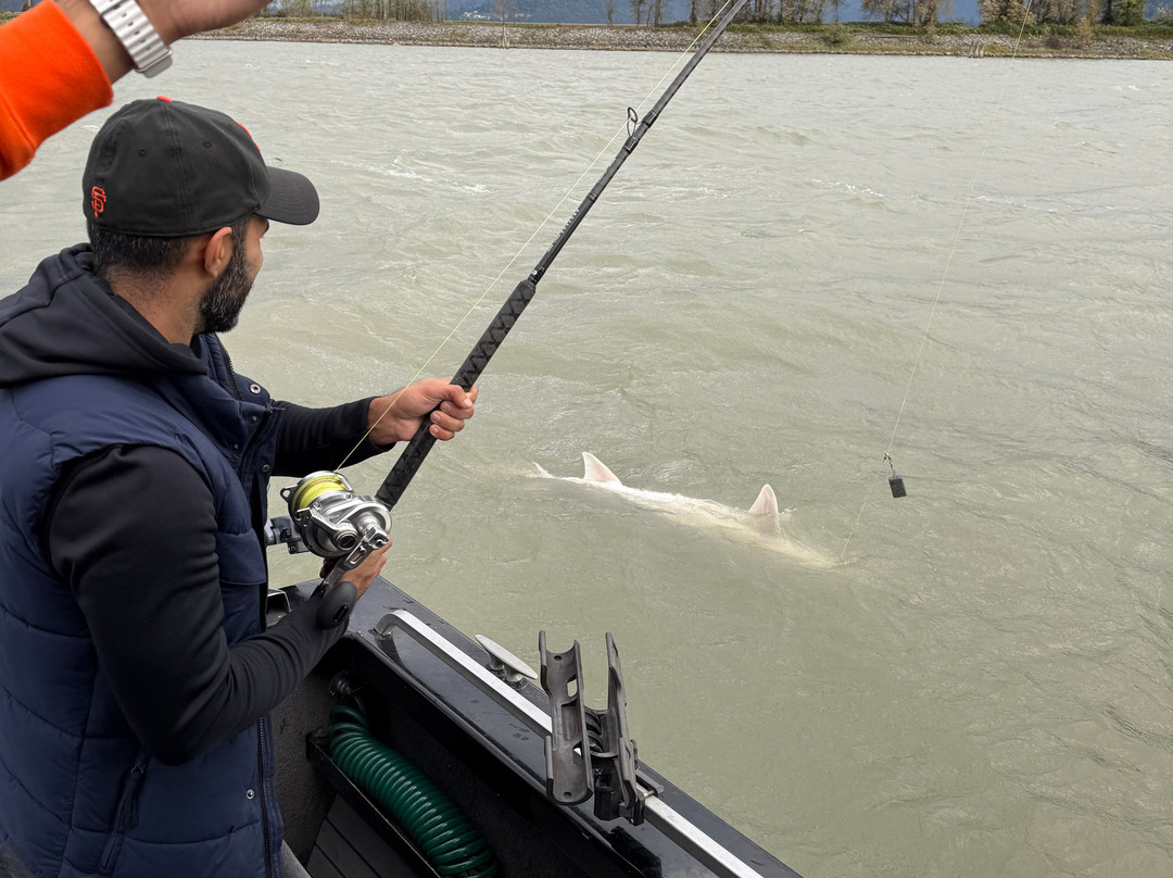 Mainlanders Sport Fishing-奇利瓦克必去景点