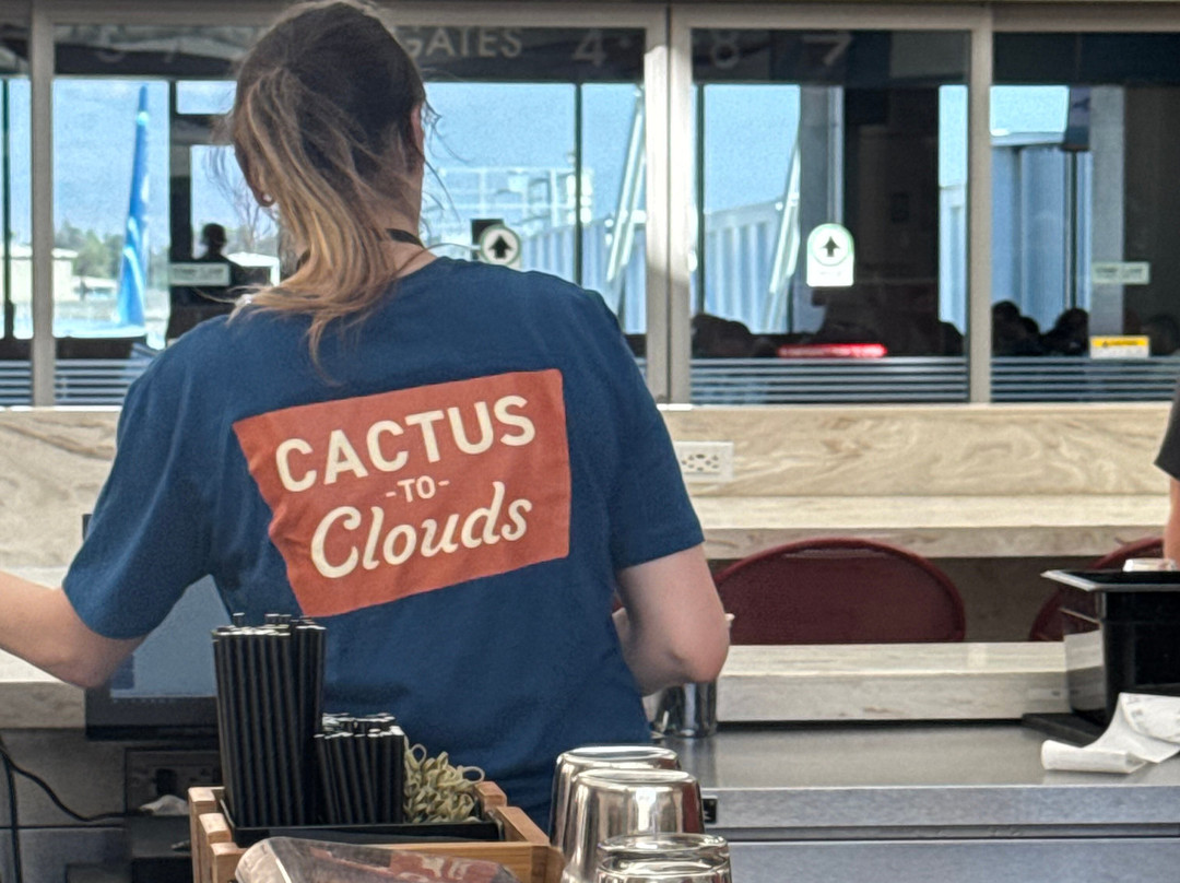 Cactus To Clouds