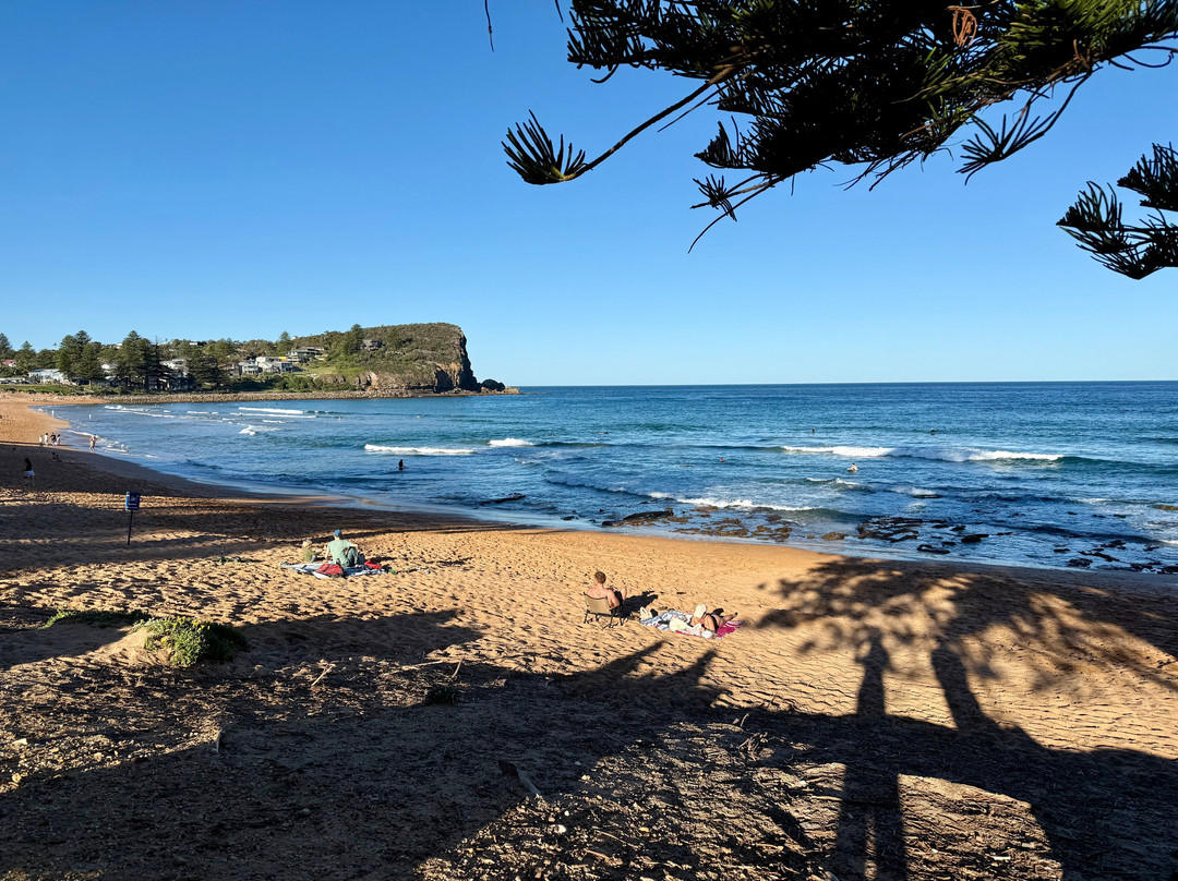 阿瓦隆海滩-Avalon Beach必去景点