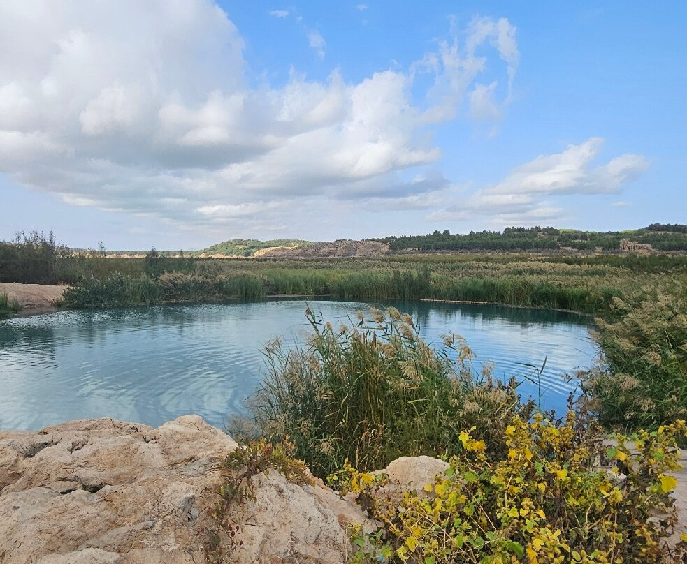 Hotel Balneario De Zújar主图