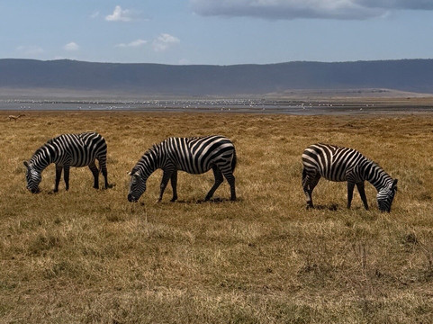 Soraka Tours-莫西必去景点