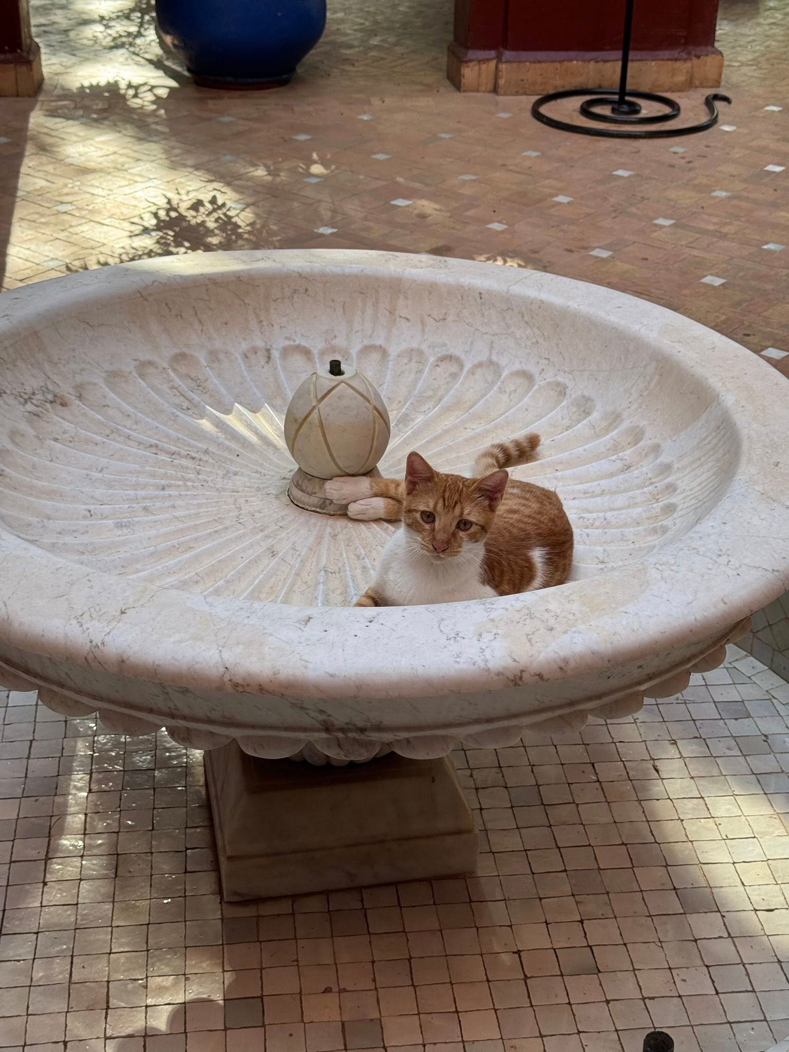 El Miria Palais Riad-浴室