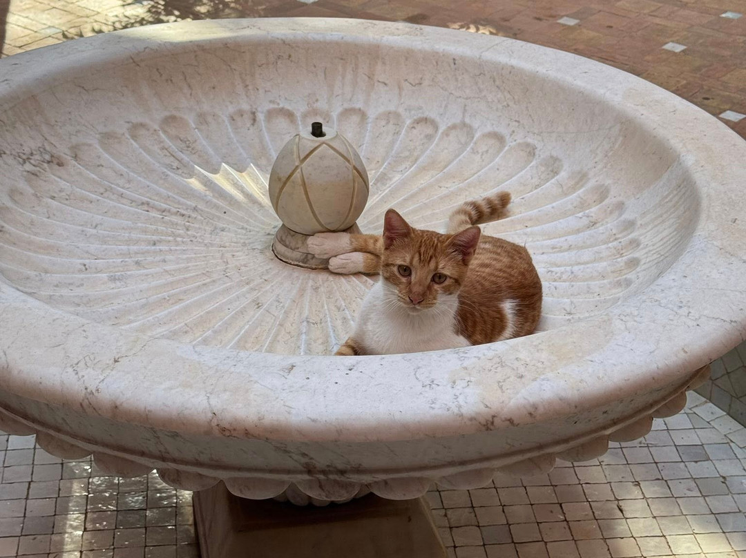 El Miria Palais Riad主图