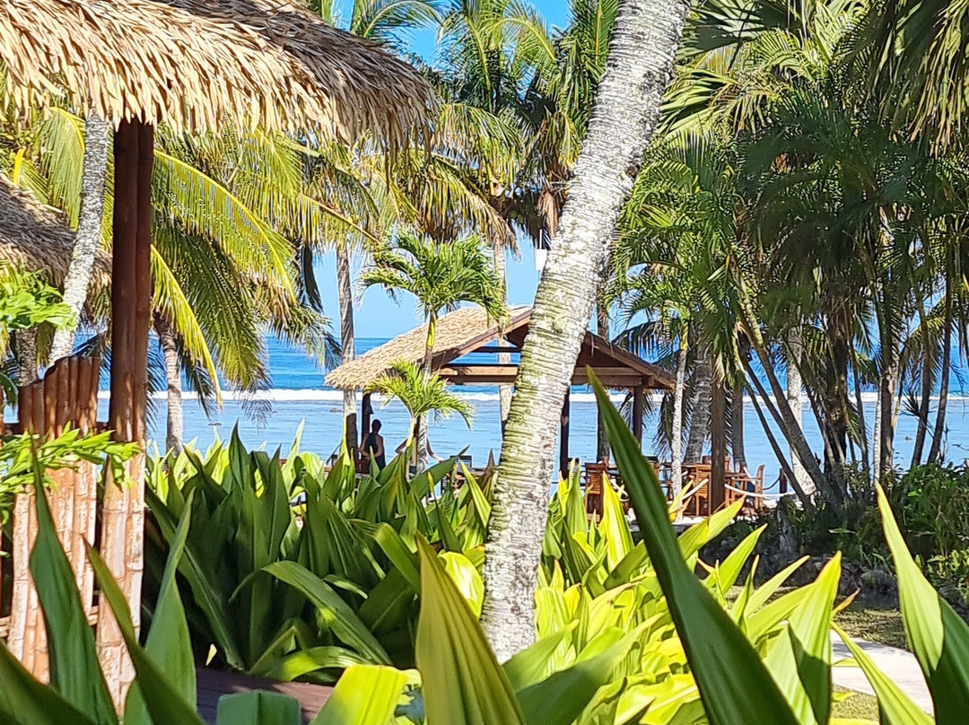 魔术金沙别墅主图