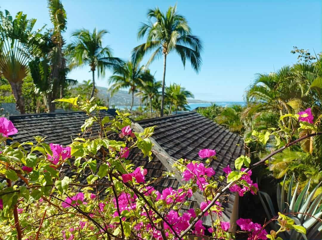 伊洛哈海景酒店主图