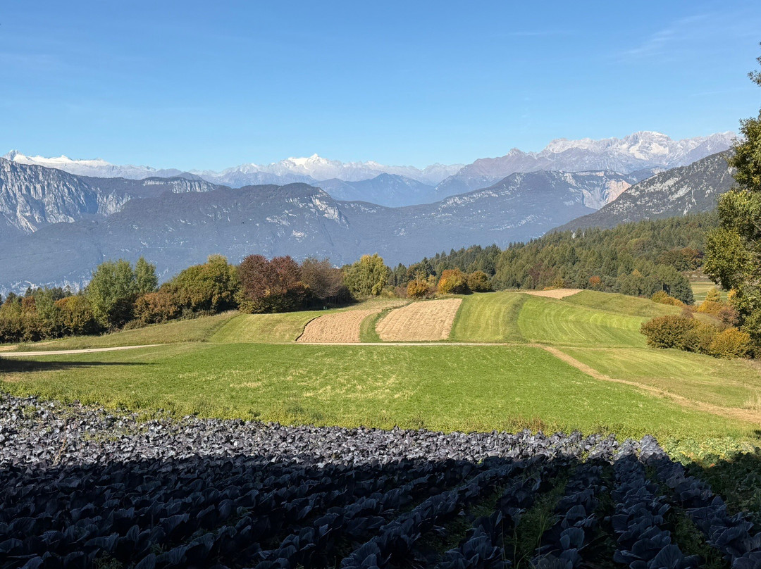 Val di Gresta-Ronzo-Chienis必去景点