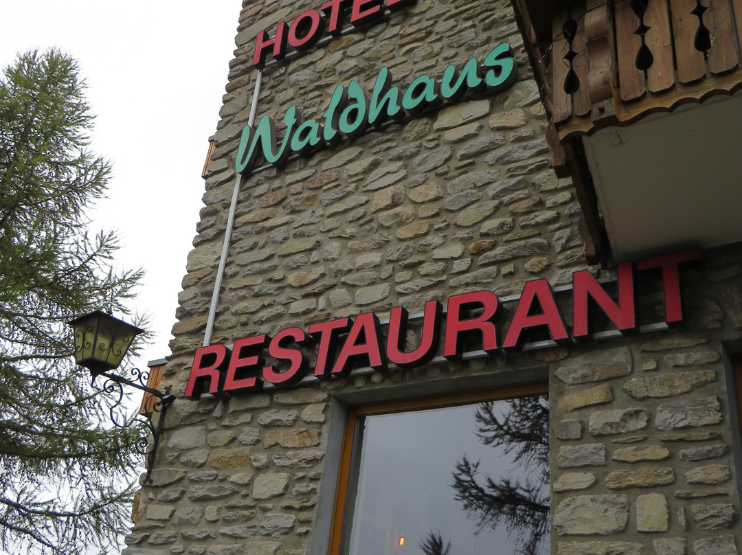 Hotel Waldhaus主图