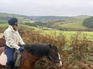 Springhill Farm Riding Stables-奥斯沃斯特必去景点