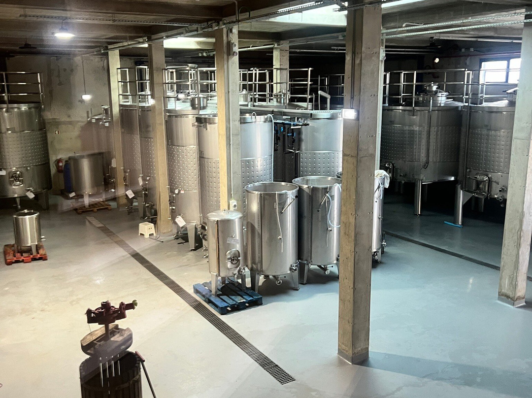 Quinta Do Canhoto-阿尔布赞拉必去景点