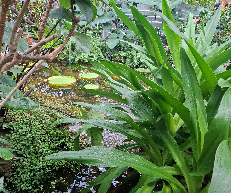 Botanical Garden Münster-明斯特必去景点