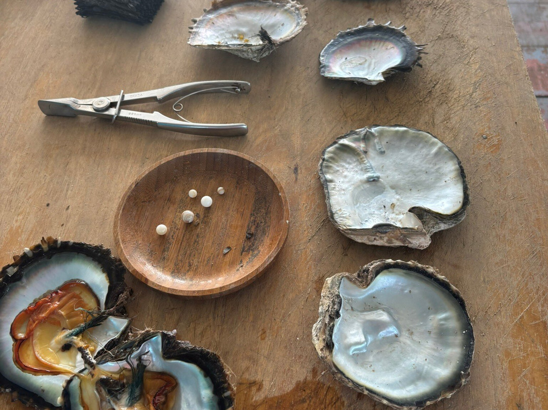 Civa Pearl Farm-塔韦乌尼岛必去景点