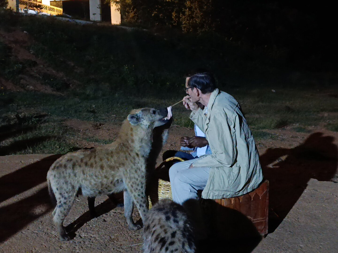 Edom Harar Tours & Car Rentals-哈勒尔必去景点