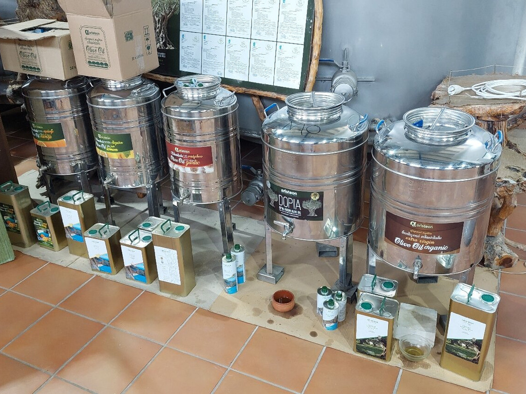 Aristeon Ecological Olive Press-Lithakia必去景点