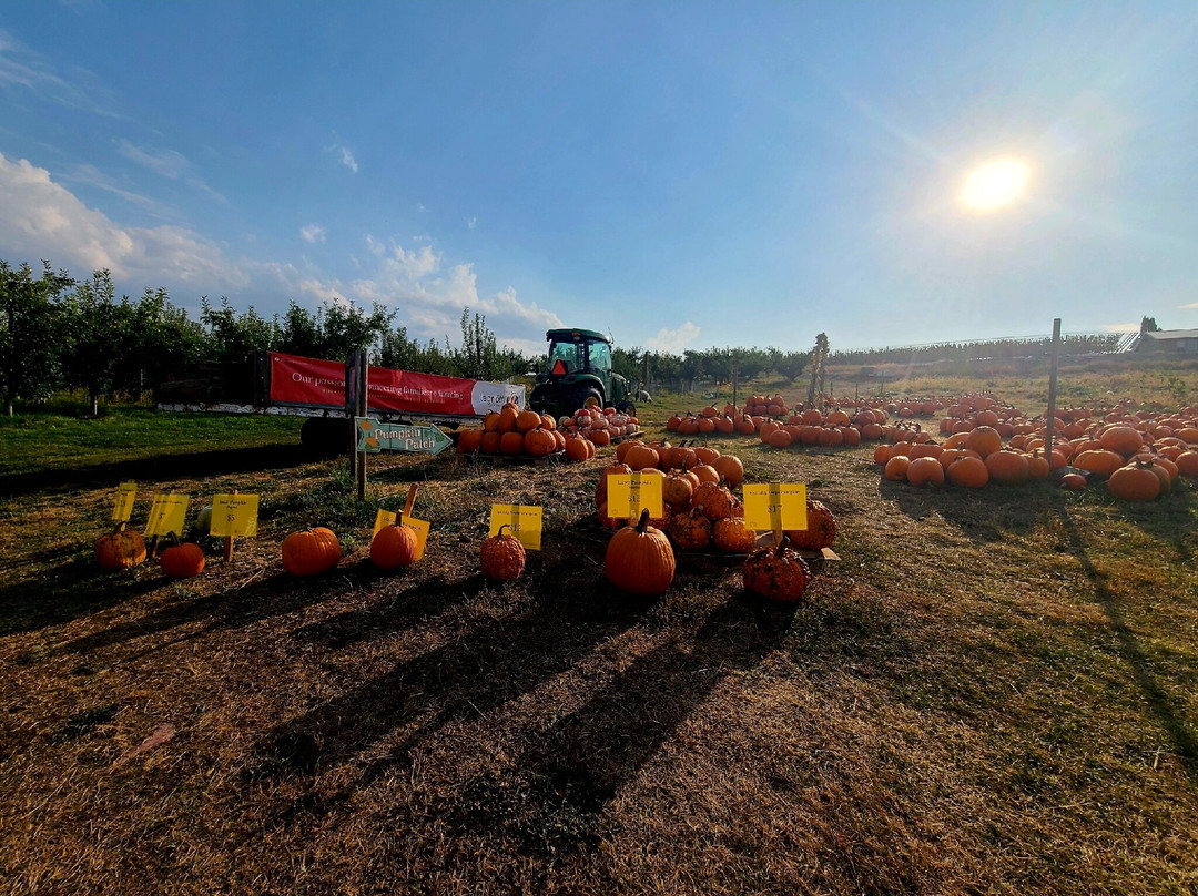 Lagriōth Winery at Chelan Valley Farms-Manson必去景点
