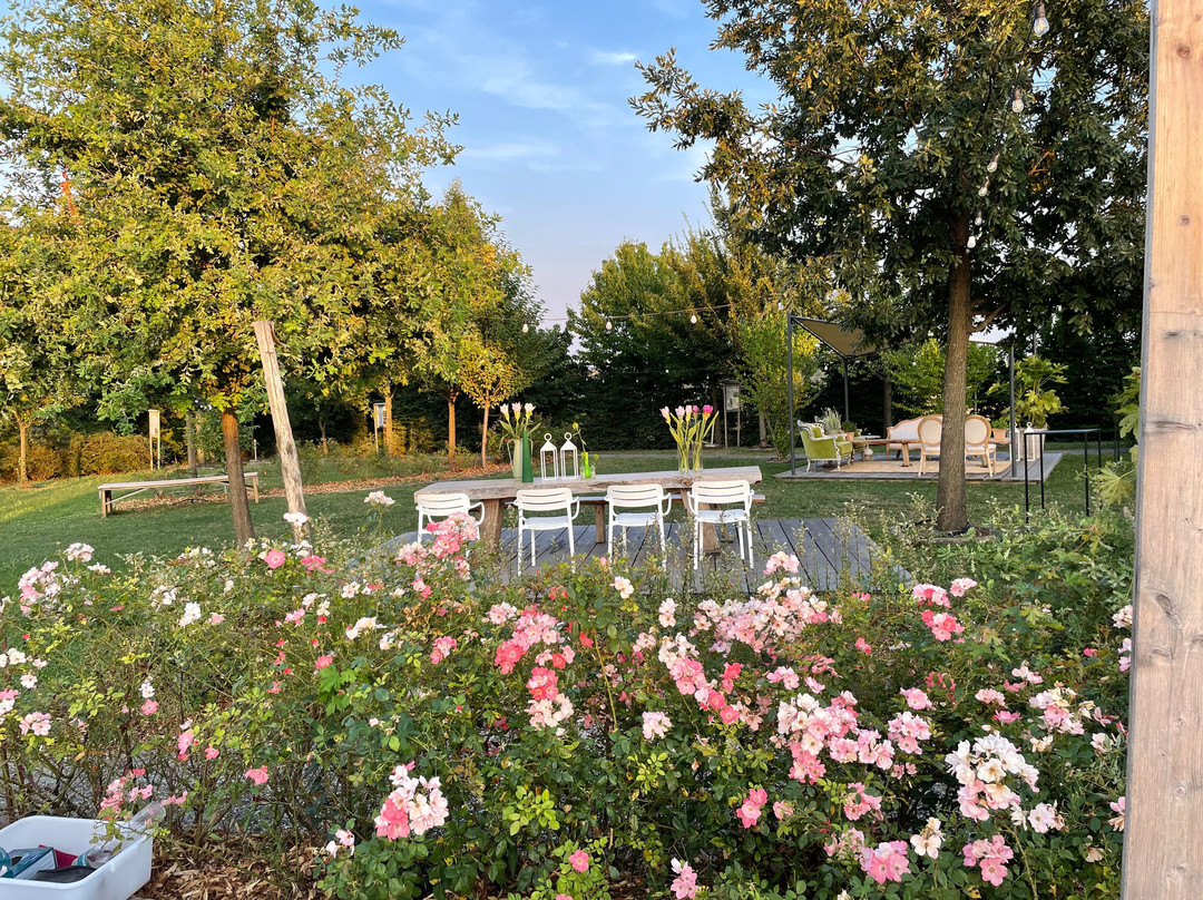 Calicella餐馆和美食-Agriturismo Acqua Terra Sole