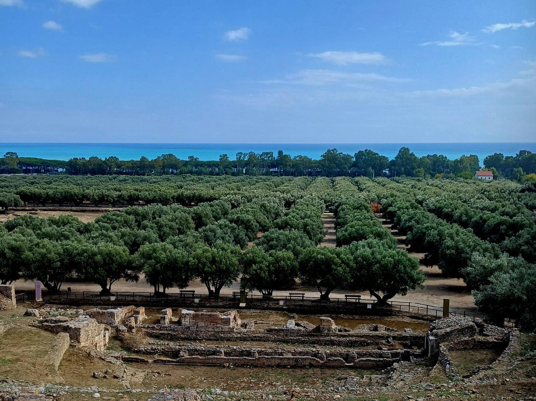 Museo e Parco Archeologico Nazionale di Scolacium-Borgia必去景点