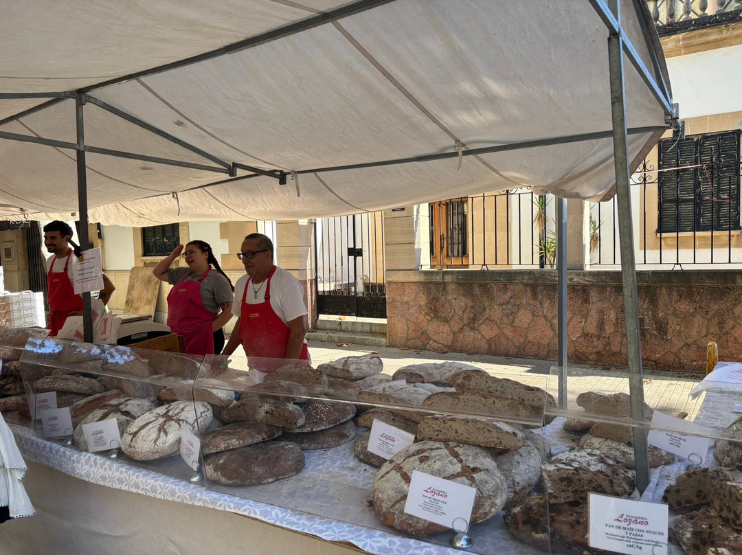 Pollensa Market-Pollenca必去景点