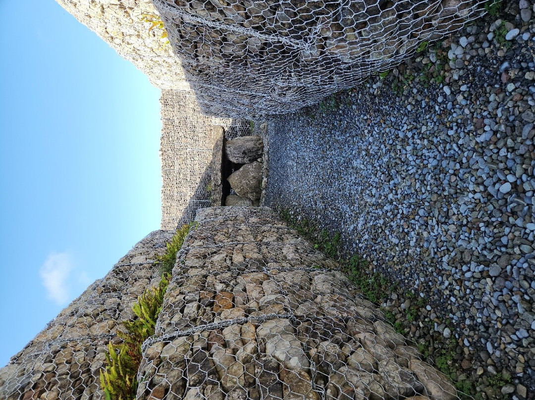 Carrowmore Megalithic Cemetery-斯莱戈必去景点