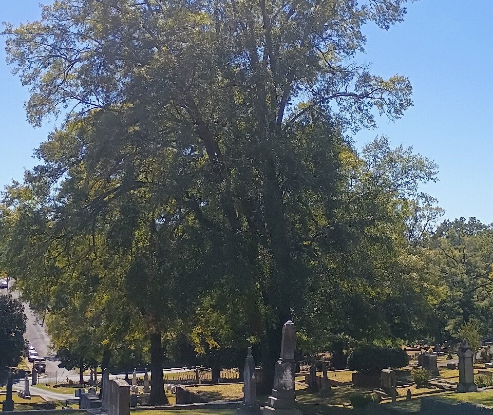 Myrtle Hill Cemetery-罗马必去景点