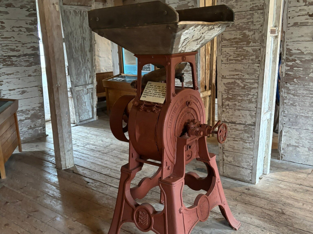 Carew Castle & Tidal Mill-Carew必去景点