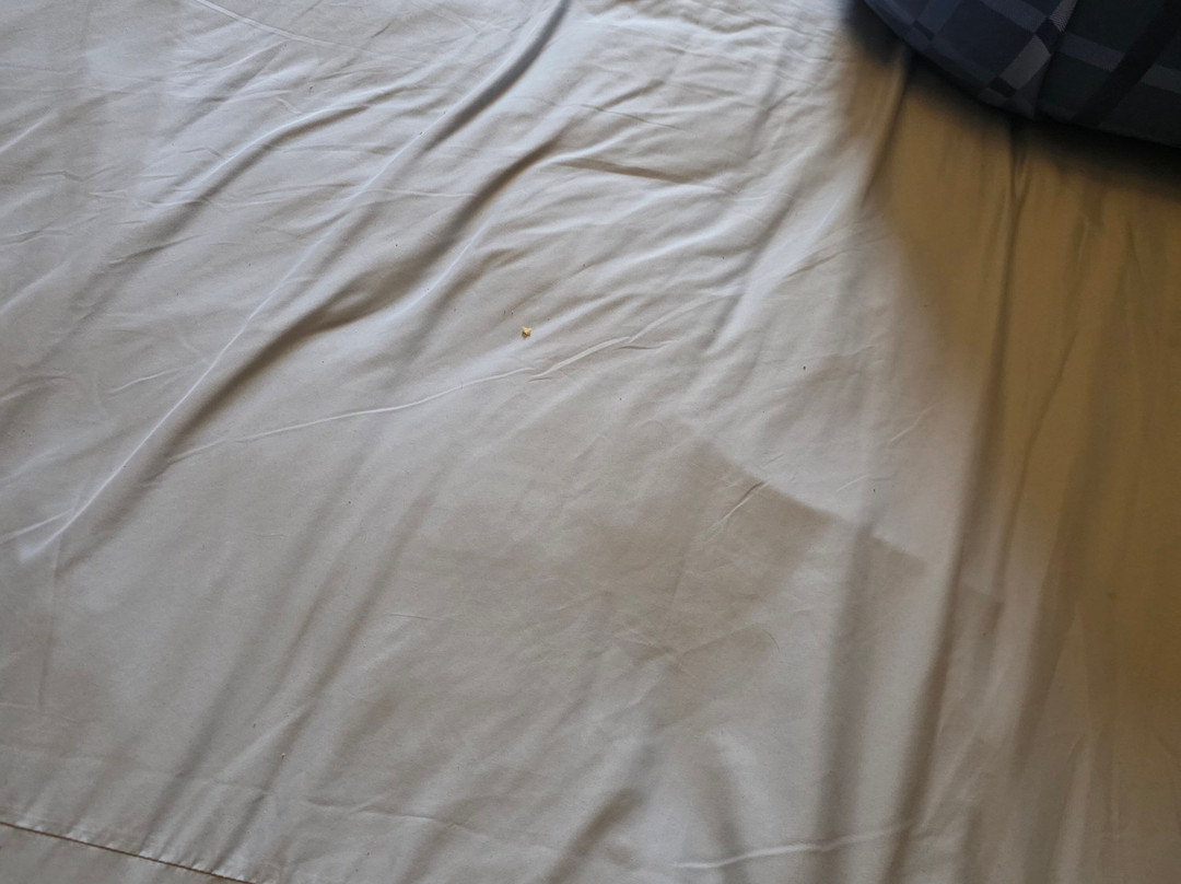 The Villa Hotel主图