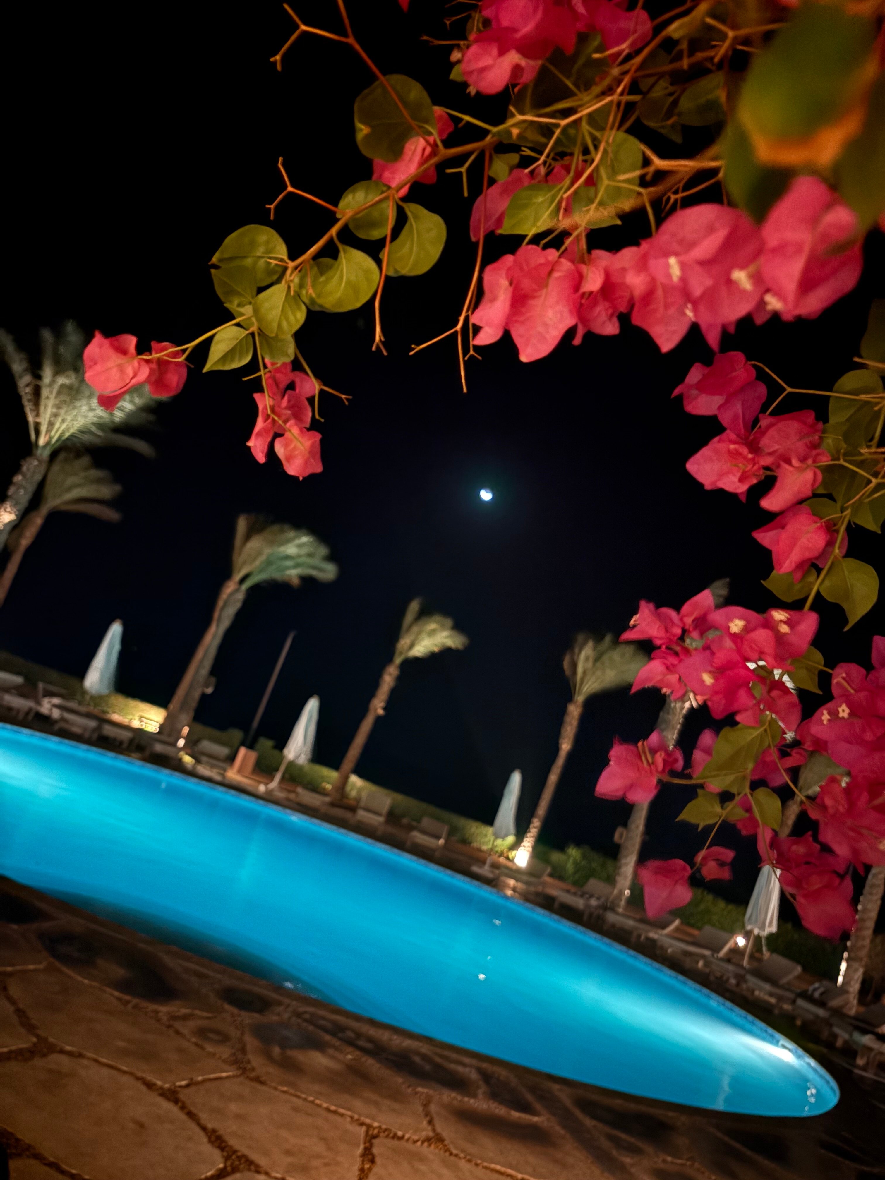 达哈卜天堂酒店-官方