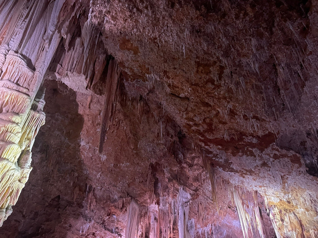 Grotte de Clamouse-Saint-Jean-de-Fos必去景点
