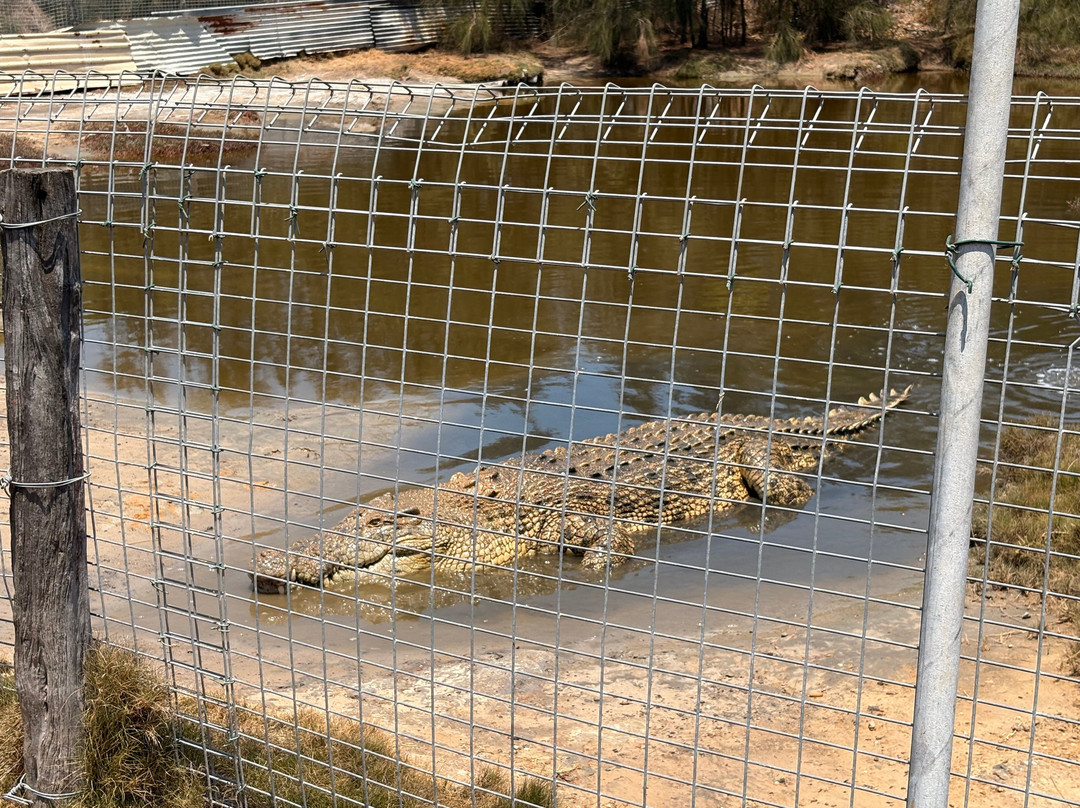 Koorana Crocodile Farm-Coowonga必去景点