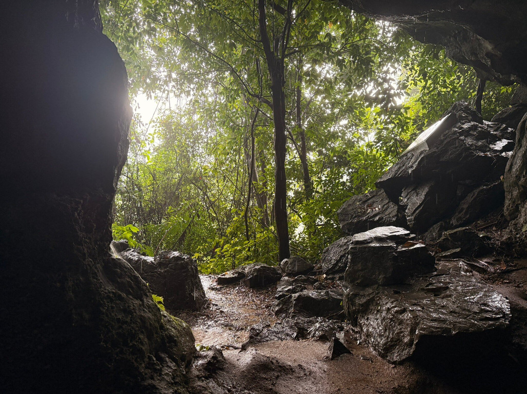 Cuc Phuong National Park-宁平必去景点
