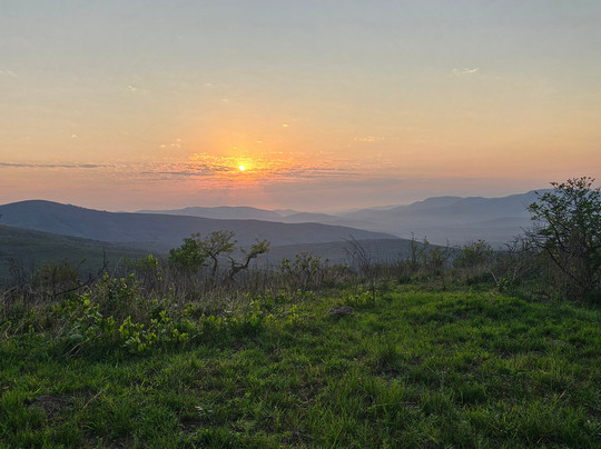 DayToursKzn-德班必去景点