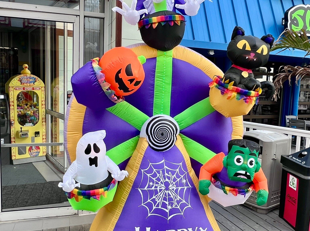 詹金森浮桥-波因特普莱森海滩必去景点