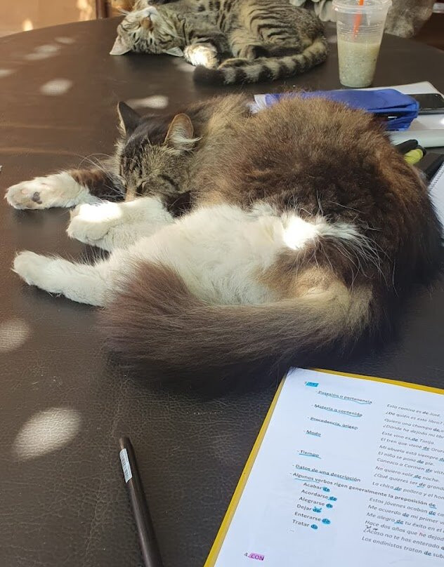 Escuela Carmen Vega-科恰班巴必去景点