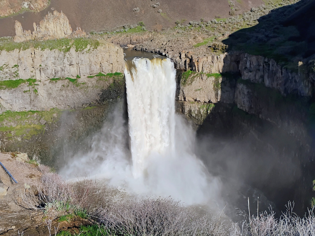 Best Western Plus Dayton Hotel & Suites主图