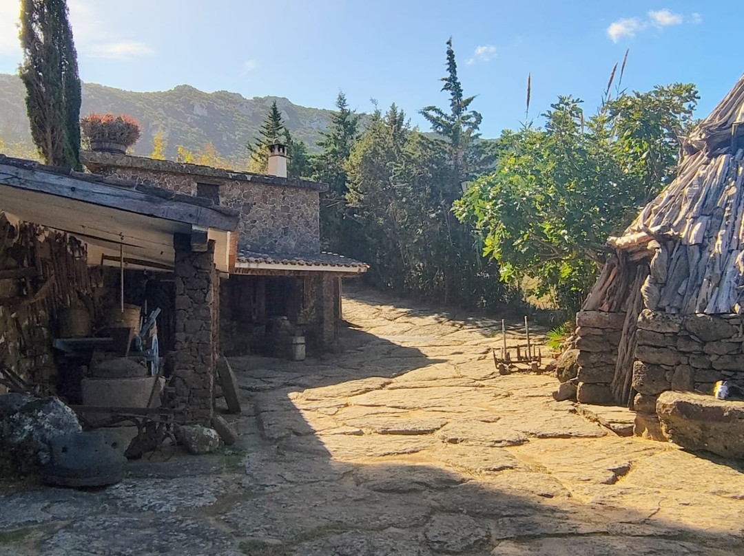 Parco Museo S'Abba Frisca-Dorgali必去景点