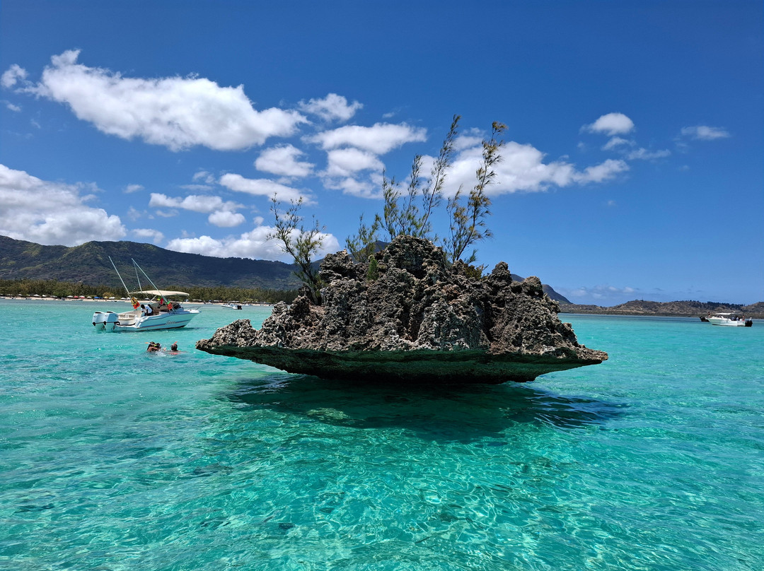 Namori Tours Sortie Dauphins-贝尔欧布莱必去景点