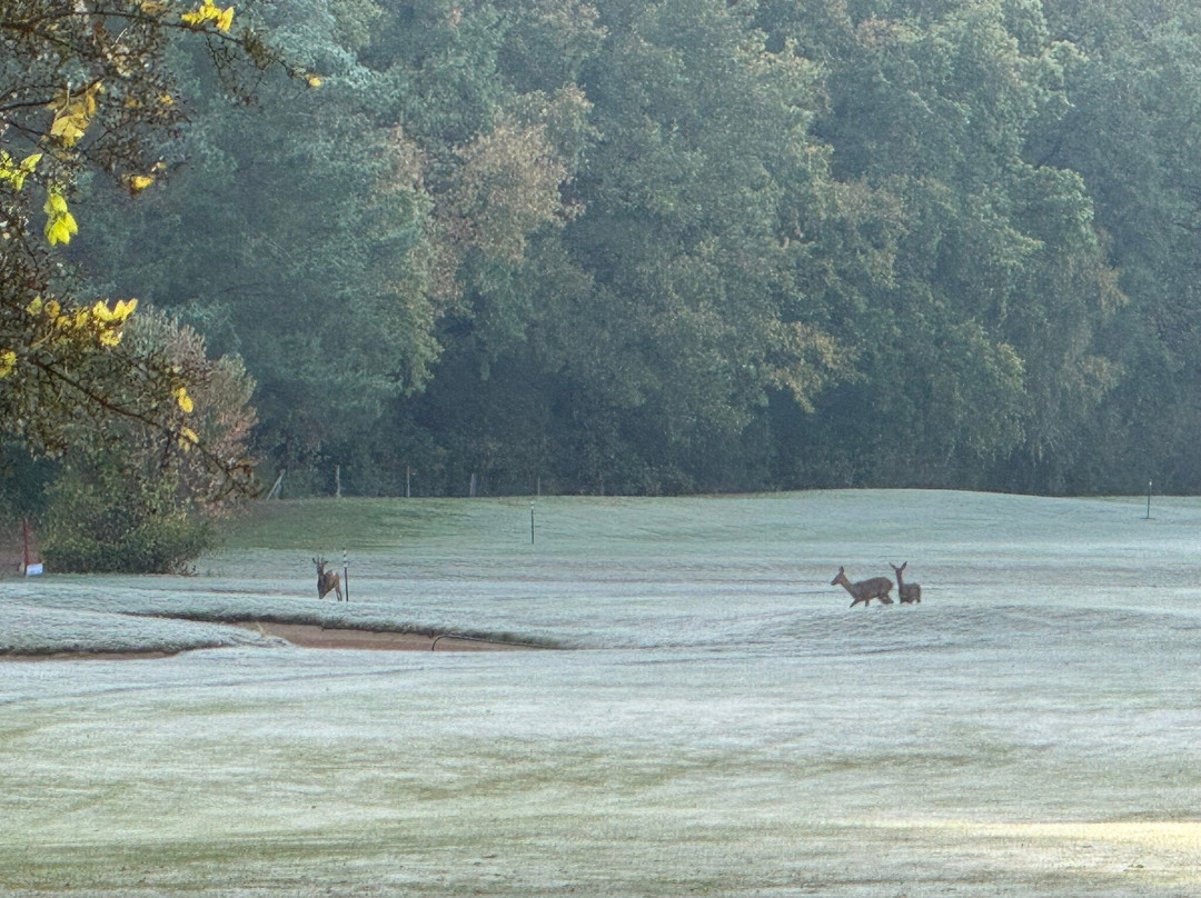 GolfResort Semlin am See主图