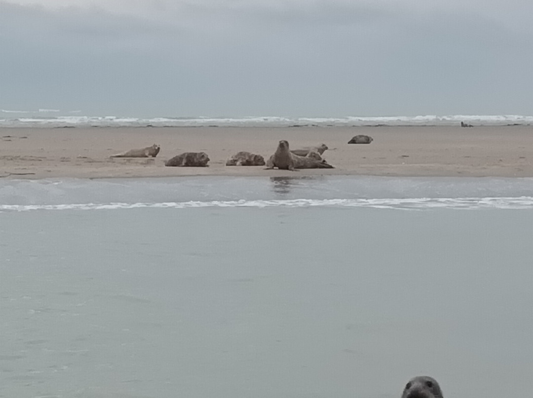 L'étoile De La Baie-Le Crotoy必去景点