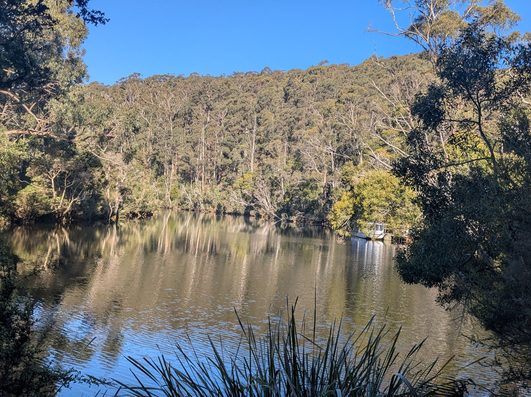 Leven River Cruises-Ulverstone必去景点