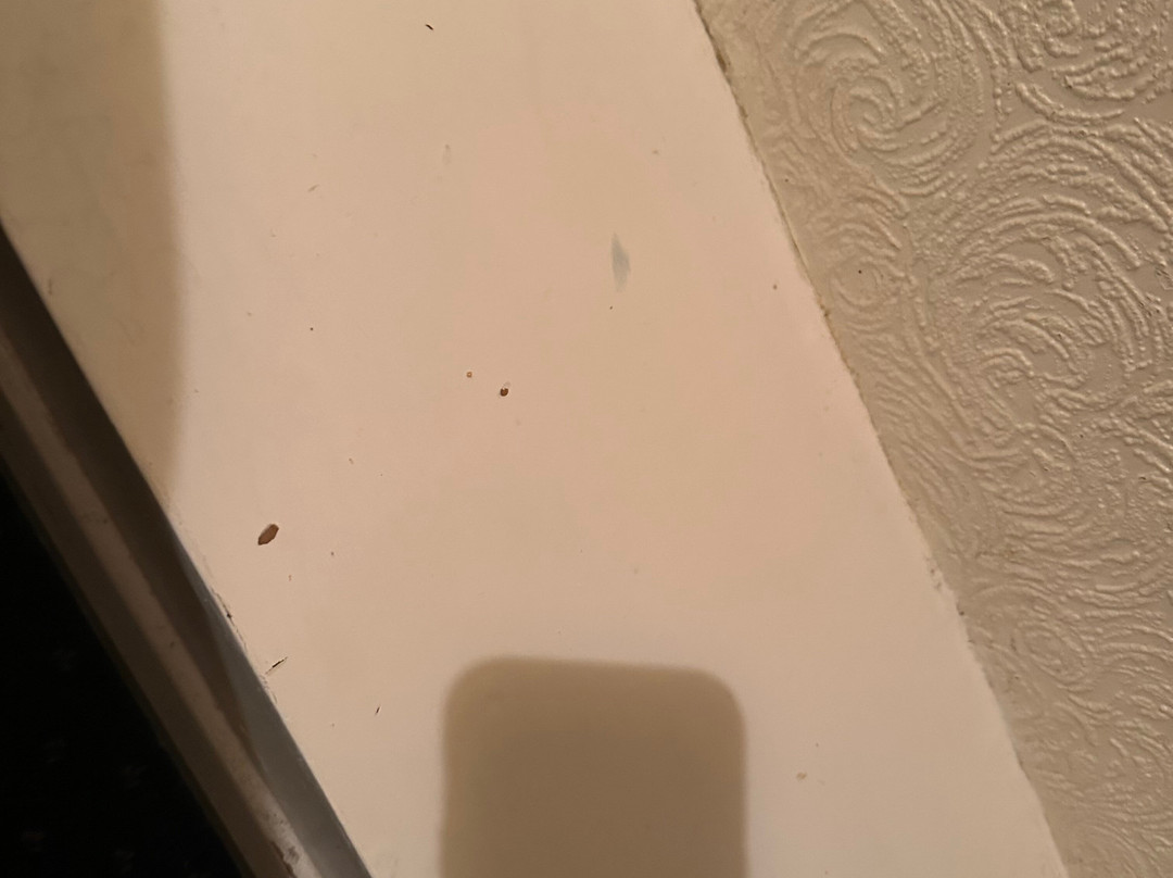 Moorville Hall Hotel主图