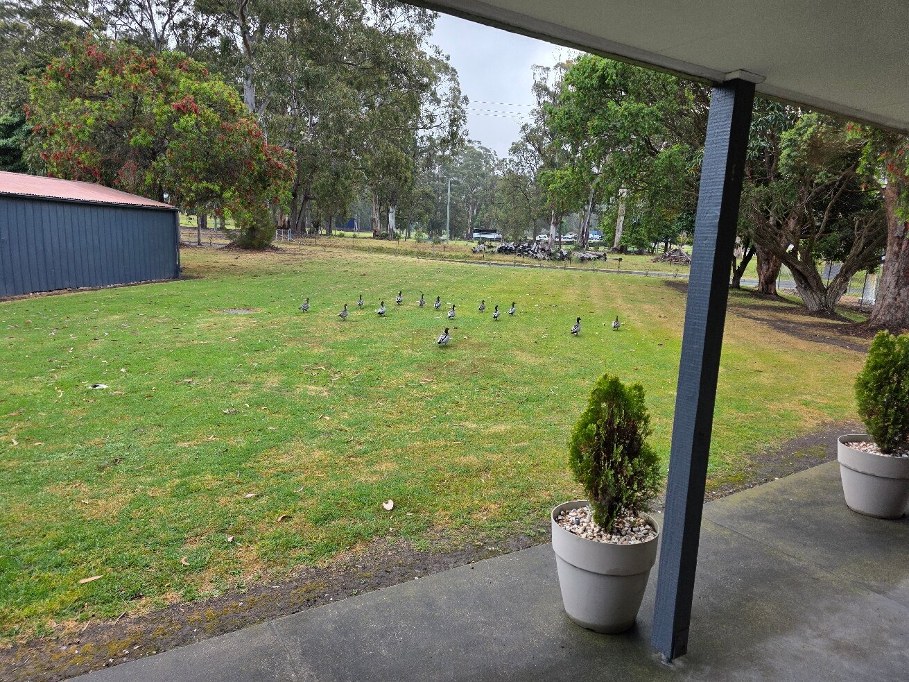 最佳西方客栈汽车旅馆-官方