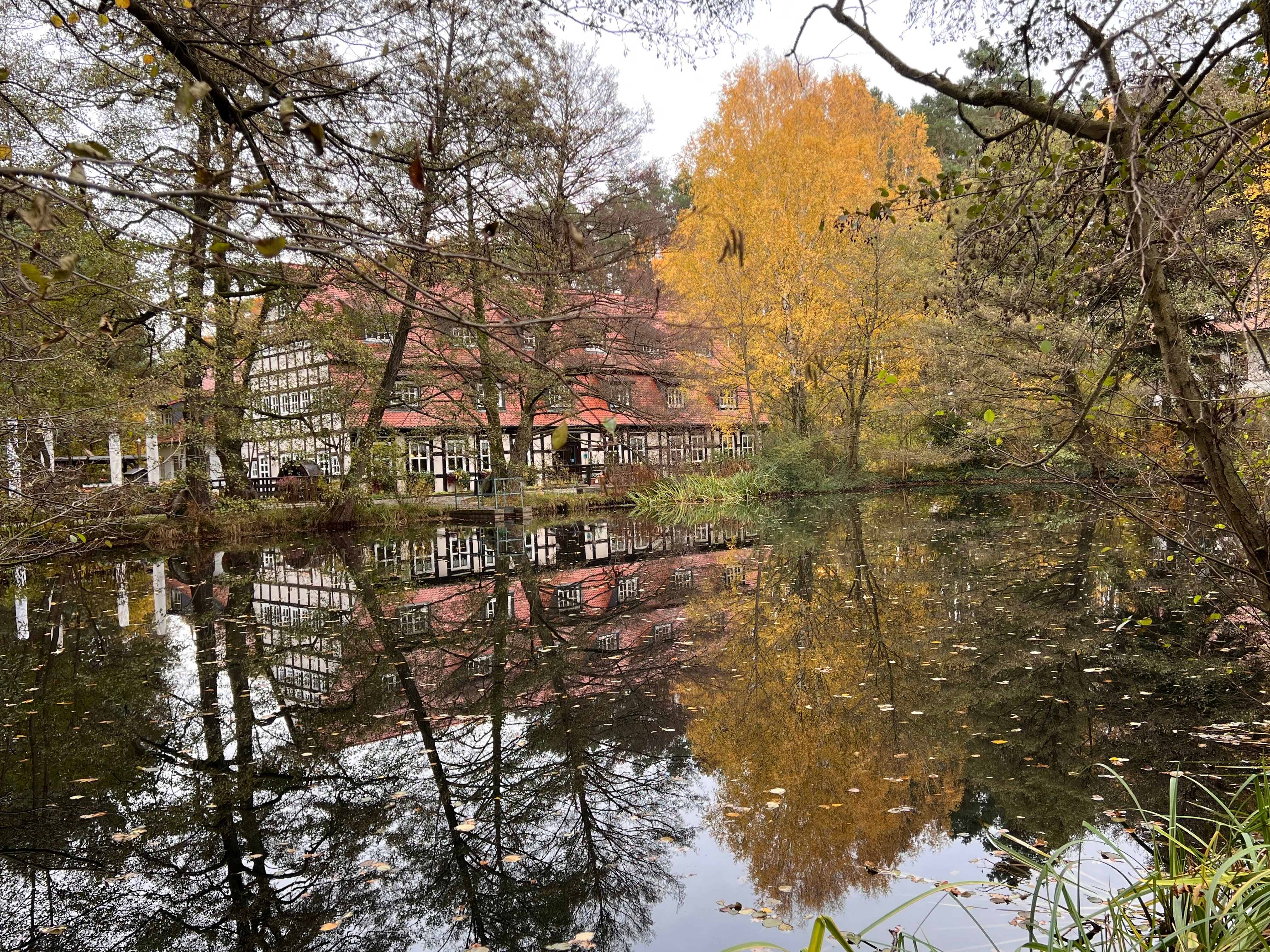 Springbach-Mühle-官方