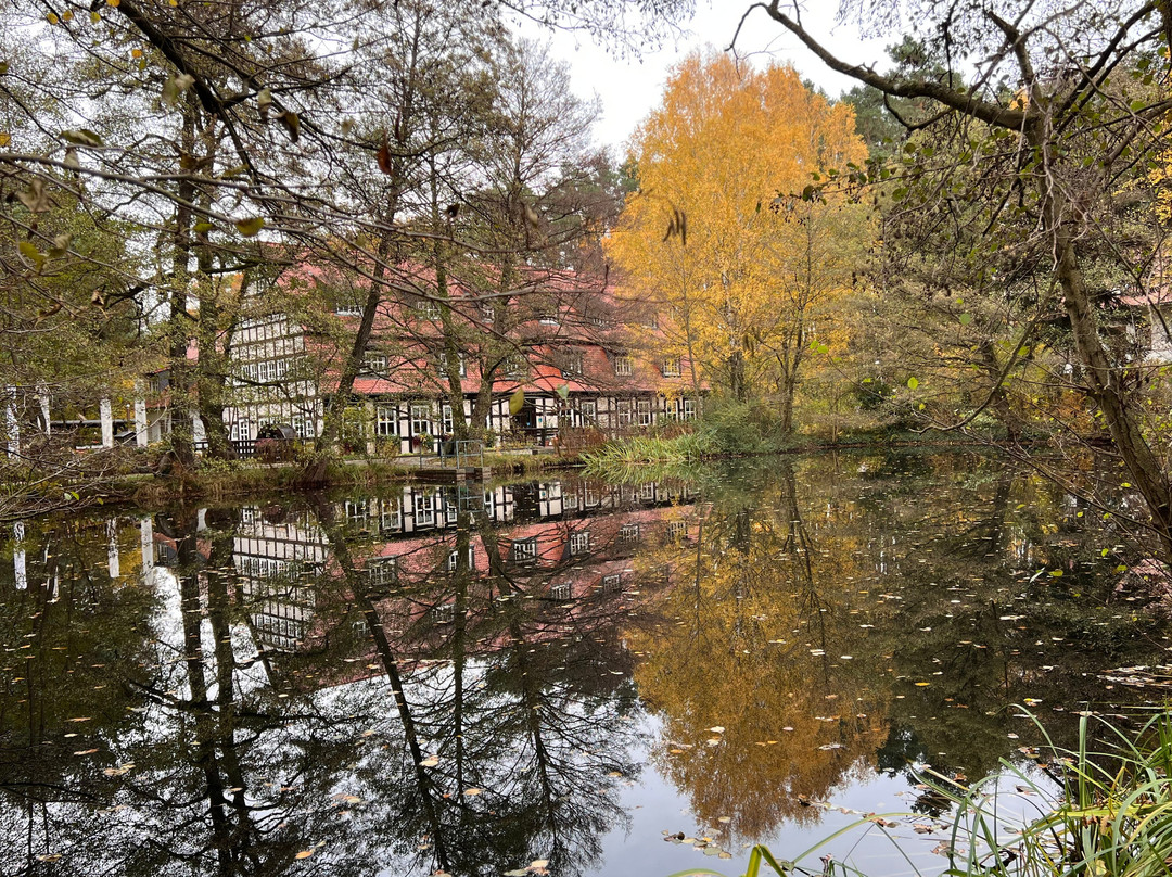 Springbach-Mühle主图